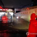 우장춘로 이미지