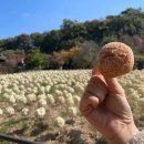 평택-W-076 이미지