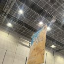 동반자 | 2025 대전 &lt;파충류 동반자&gt; 후기