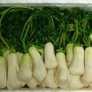 행운농원2