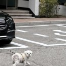 WR(부산광역시 부산진구)-[전포대로]-하-17 | [부산 여행] 추석 황금 연휴를 맞아 부산 맛집 도장깨기 하고 왔읍니다.