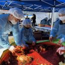 남원 청소년문화의집 이미지