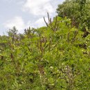 안골길 7 이미지