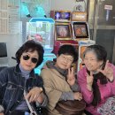 2025 후반기 정기모임(칠순모임) : 유람선 승선 / 청풍나루~옥순봉 이미지