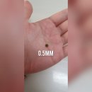 여주백수오개똥쑥농장 | [여주환/당뇨에 좋은 음식] 여주환 당뇨 초기증상때 최고! 몸에 좋은데 먹기 좋은 여주환 👍