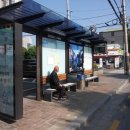 (버스)시청앞 이미지