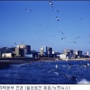 (주)태성안전 이미지