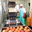 삼성농원 이미지