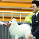 노바 인터내셔널