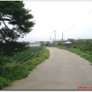 판관오리 이미지