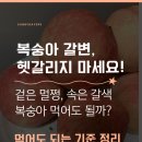 주식회사 크린올 | 갈색 복숭아, 상한 건가요? 먹어도 되는 기준 정리