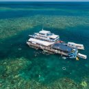 오스트레일리아의 바닷속 이야기 이미지