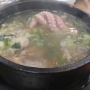 신안산낙지 이미지