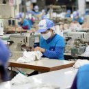 케이디엠 이미지