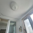 천년나무7단지 앞 이미지