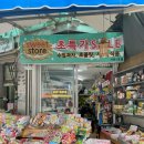 동일상회 이미지