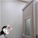 딜라이트보청기 광주점 | 광주보청기 잘하는 곳 딜라이트보청기 광주점에 다녀왔어요