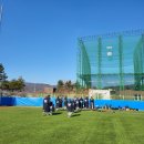 탄금야구장 이미지