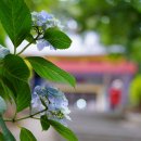 메종드마레 이미지