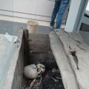 세계 박물관 탐험 이미지