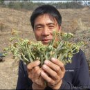 화창농원 이미지