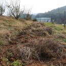 부부농장 이미지