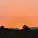 노을한우농장 이미지