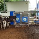 범당골농장 이미지