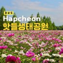 합천군 농업기술센터 | 경남 합천 핫들생태공원 작약명소 5월 가볼만한곳 실시간 개화 주차