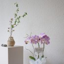 서브로사