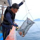 설리마을2 이미지