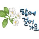세상을피우다 이미지