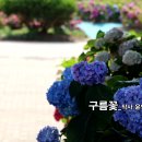여름특집_트로트_구름꽃_작사 윤영 송연화_작편곡_수노_기획 프로듀서 윤기영 이미지
