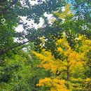 고향달머무는곳 이미지