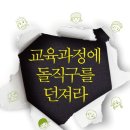 책후기: 교육과정에 돌직구를 던져라