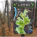 대전둔산여자고등학교 이미지