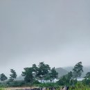 송준호농장 네이버블로그