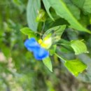 장제로155번길 이미지