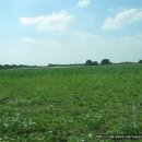 영국농장 이미지