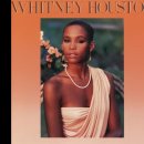 (Whitney Houston) - All At Once (딴여자와 눈이 맞아버린 나의 사랑) 이미지