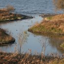 가원습지생태자연공원 이미지