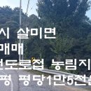 충주시 살미면 임야매매 8037평 매매 평당1만5천원 이미지