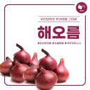 해오름 무안양파잼 무설탕잼