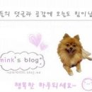 단추104 이미지