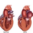고양이병원 소설 이미지