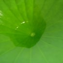 들꽃산장 이미지