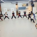 세종태권도체육관 이미지