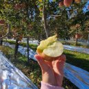 한슬농장 이미지