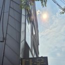 다올테라피