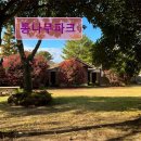 통나무민박6 | 제주도 애월 펜션 숙소 게하 통나무파크 조용한 힐링 공간